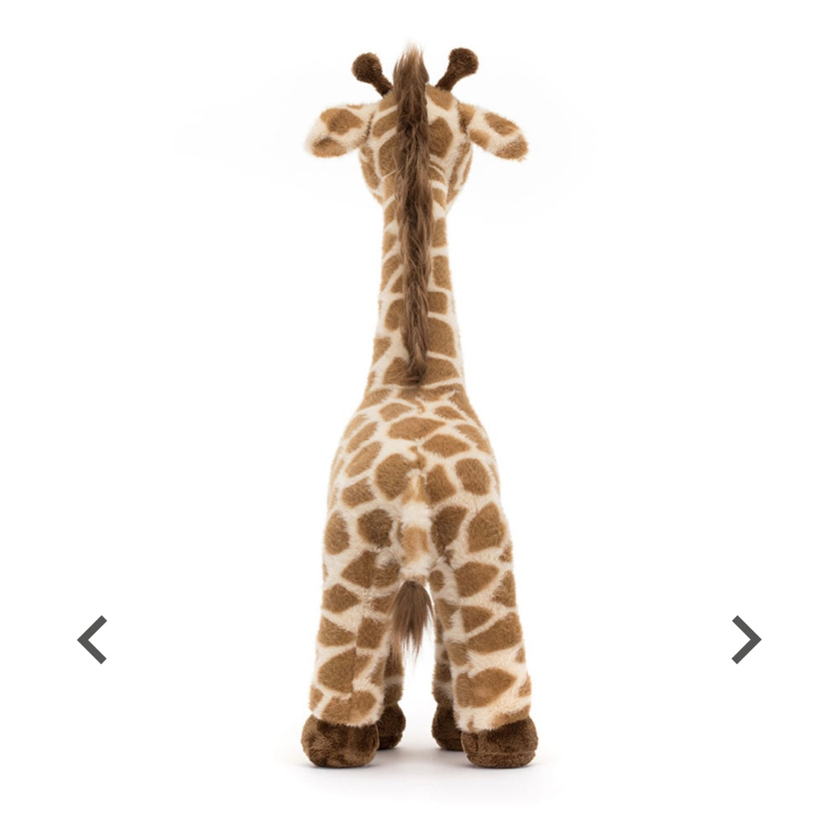 Dara Giraffe